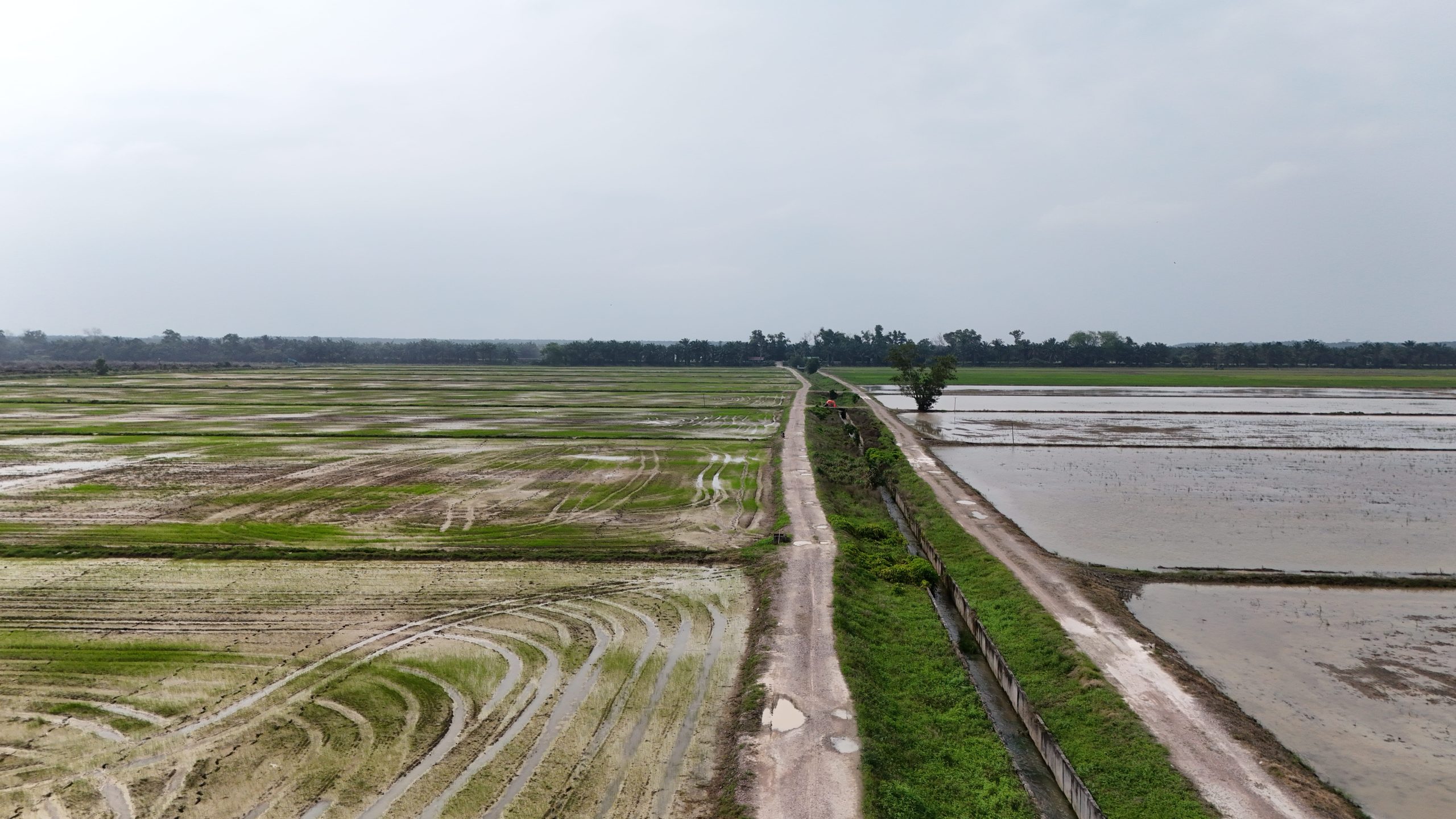 DJI_20250325163012_0546_D